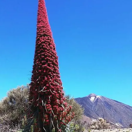 Finca San Agustin Отель