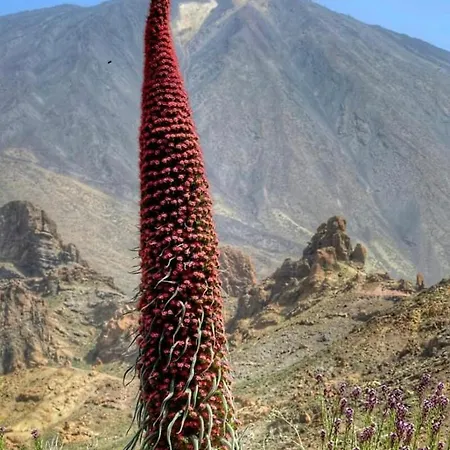 Hotel Finca San Agustin El Río