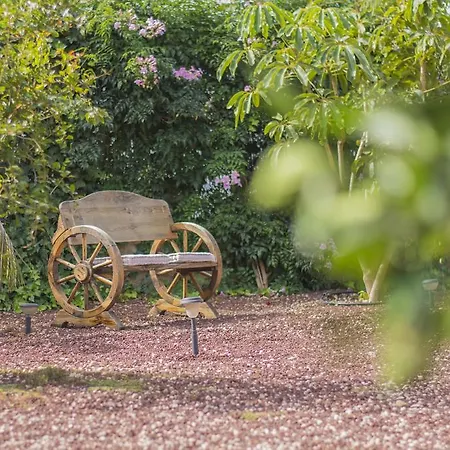Finca San Agustin * El Rio (Tenerife)