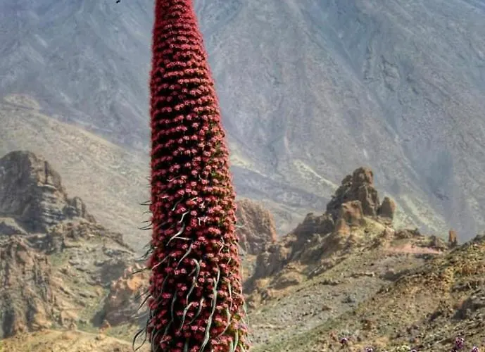 Hotel Finca San Agustin El Rio (Tenerife)