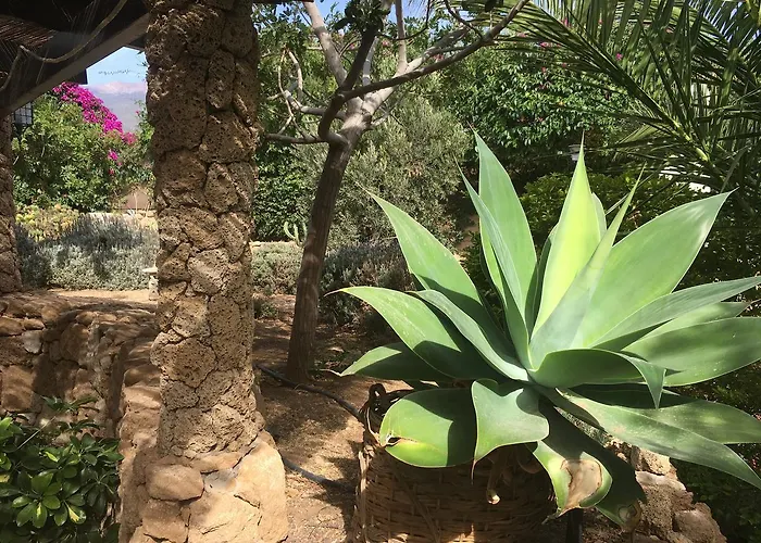 Finca San Agustin El Rio (Tenerife)